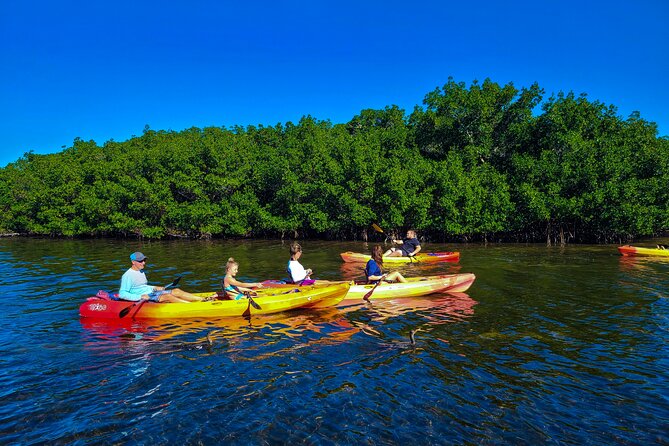 Siesta Key Kayak Tour - Two hours on the water: the Siesta Key pace that works