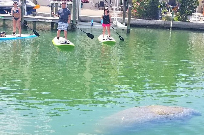 Siesta Key Kayak Tour - What’s included: gear that lets you travel light