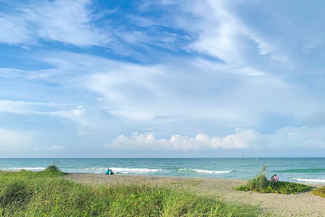 Siesta Key Kayak Tour - Price and value at $60: what you’re paying for