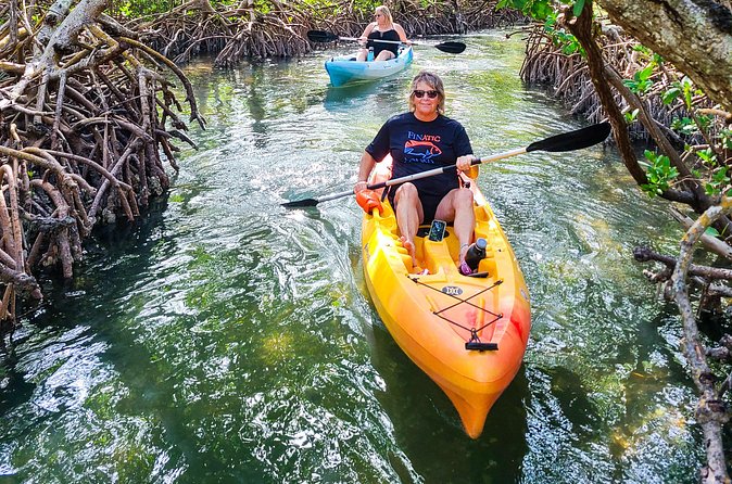 Siesta Key Kayak Tour - Weather and wind: the real decision-maker