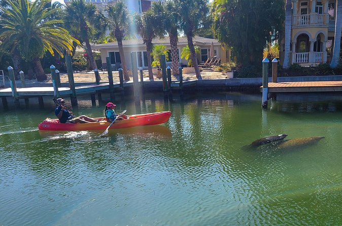 Siesta Key Kayak Tour - Where you meet at 8701 Blind Pass Rd