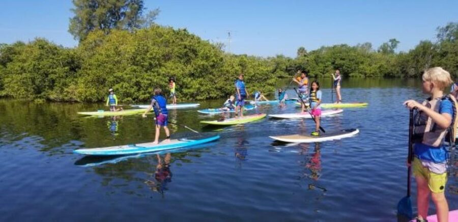 Siesta Key: Mangrove Kayak or Paddleboard Tour - Key things to know before you paddle Siesta Key mangroves