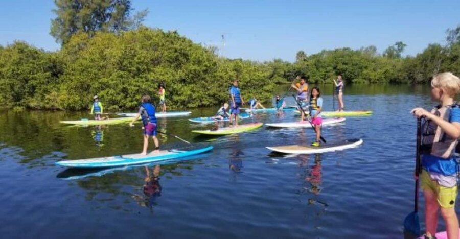 Siesta Key: Mangrove Kayak or Paddleboard Tour - Jim Neville Marine Preserve: tunnels, mangrove islands, and that sheltered feeling