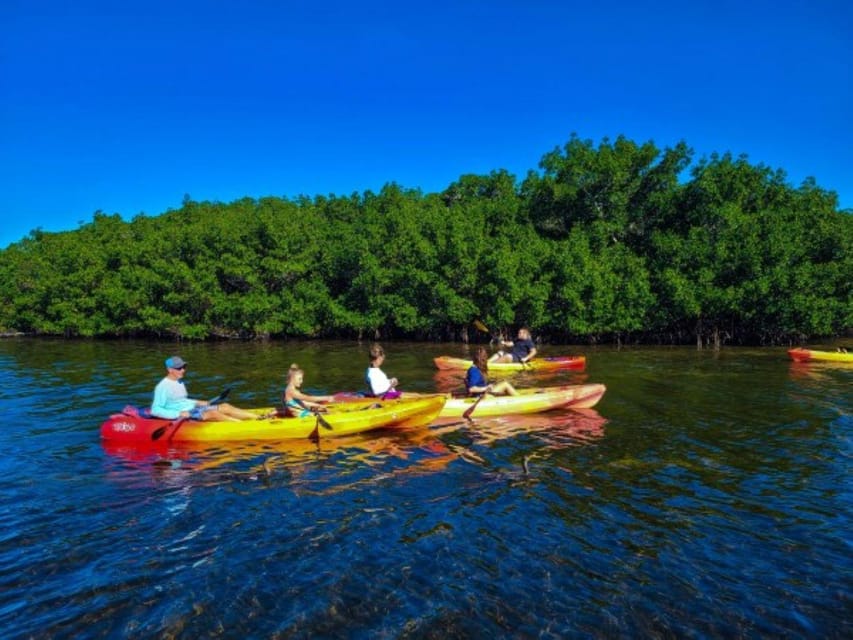 Siesta Key: Mangrove Kayak or Paddleboard Tour - The “secret” beach stop: boat access means fewer people and more calm