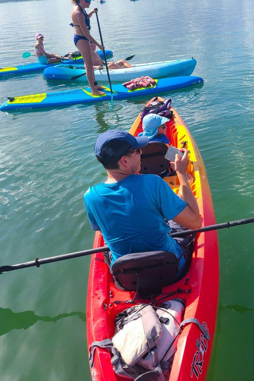 Siesta Key: Mangrove Kayak or Paddleboard Tour - What to bring (and what to skip) for a smoother paddle