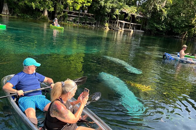Silver Springs Clear Kayak Manatee, Monkey & Wildlife Adventures - A practical 2-hour rhythm: what the day feels like