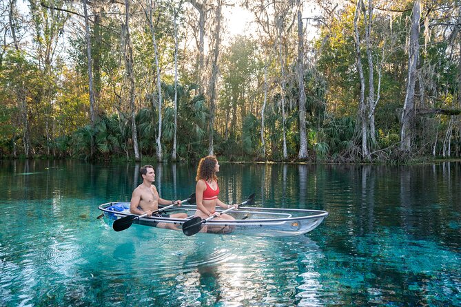 Silver Springs: Clear Kayak Wildlife Adventure - Clear Kayaks on the Silver River: Why the View Feels Different