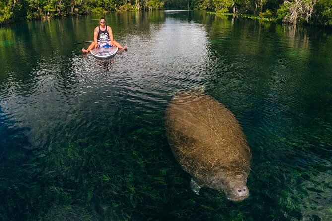 Silver Springs: Clear Kayak Wildlife Adventure - Who Should Book This Clear Kayak Wildlife Adventure?