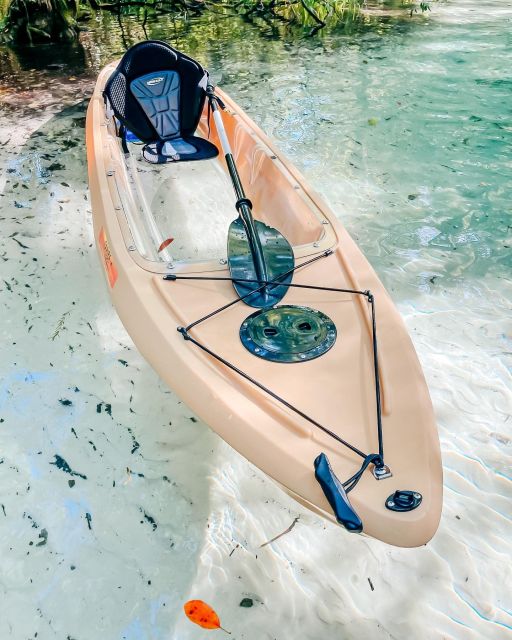 Silver Springs: Glass Bottom Kayak and Wildlife Tour - Should you book the Silver Springs glass-bottom kayak tour?