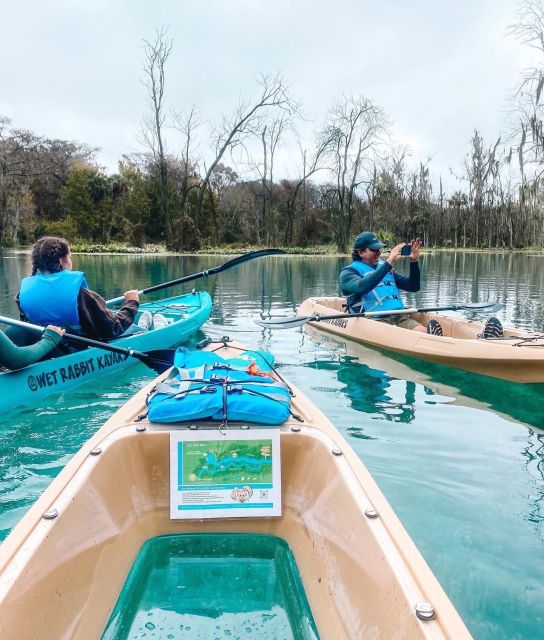 Silver Springs: Glass Bottom Kayak and Wildlife Tour - Wildlife spotting from a kayak: what you can realistically expect