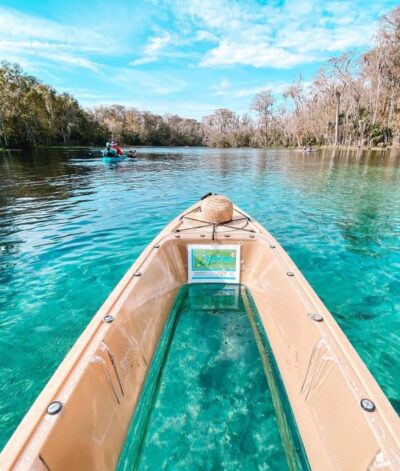 Silver Springs: Glass Bottom Kayak and Wildlife Tour - Meeting Up at 5656 E Silver Springs Blvd (Don’t Overthink It)