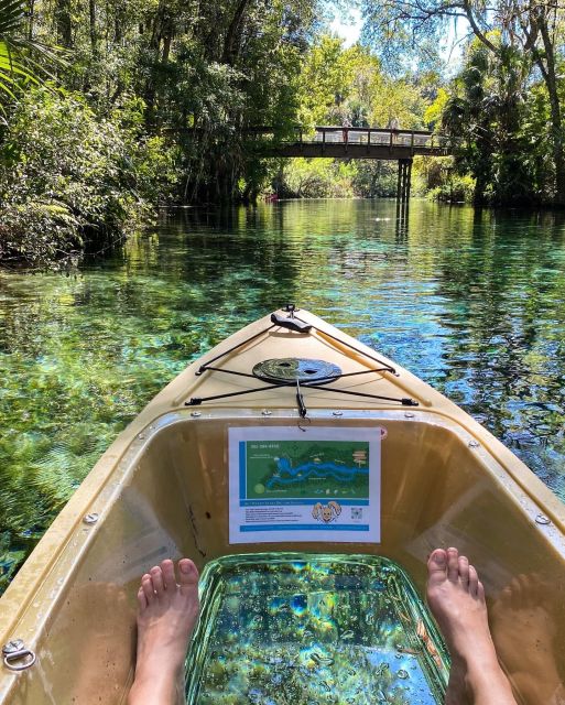 Silver Springs: Glass Bottom Kayak and Wildlife Tour - Gear and comfort: a stable sit-in-top setup that keeps you moving