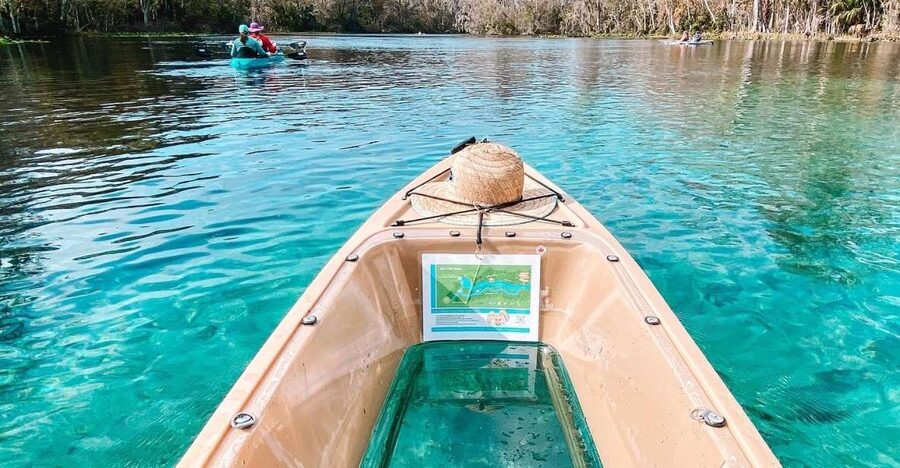 Silver Springs: Glass Bottom Kayak and Wildlife Tour - Price and value: is $65 worth it?