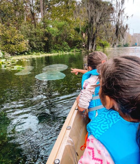 Silver Springs: Glass Bottom Kayak and Wildlife Tour - Who should book this (and who should skip)