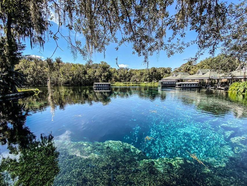 Silver Springs: Glass Bottom Kayak and Wildlife Tour - Getting there without stress: meeting point and parking tips