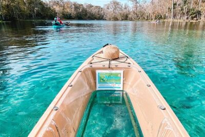 Silver Springs Glass Bottom Kayak Tour - Wildlife-spotting: how your guide boosts your odds