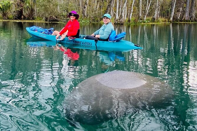 Silver Springs Glass Bottom Kayak Tour - Price check: is $39.50 a good value for this Silver Springs tour?