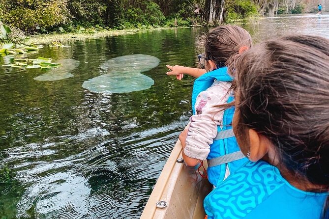 Silver Springs Glass Bottom Kayak Tour - Who this tour fits best (and who should consider another plan)