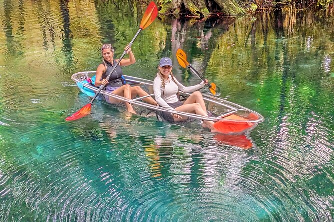 Silver Springs Jungle Kayaking and Paddleboarding - Silver Springs Kayak Reality: Quiet Water, Real Wildlife
