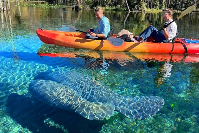 Silver Springs Jungle Kayaking and Paddleboarding - Value Check: $40 for Kayak Time, Plus the Park Pass