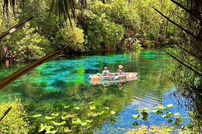 Silver Springs Jungle Kayaking and Paddleboarding - Crowd Notes: Boat Traffic Around Manatees