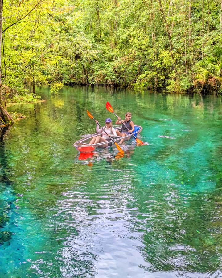 Silver Springs: Jungle Kayaking & Paddleboarding Adventure - Key highlights worth getting excited about