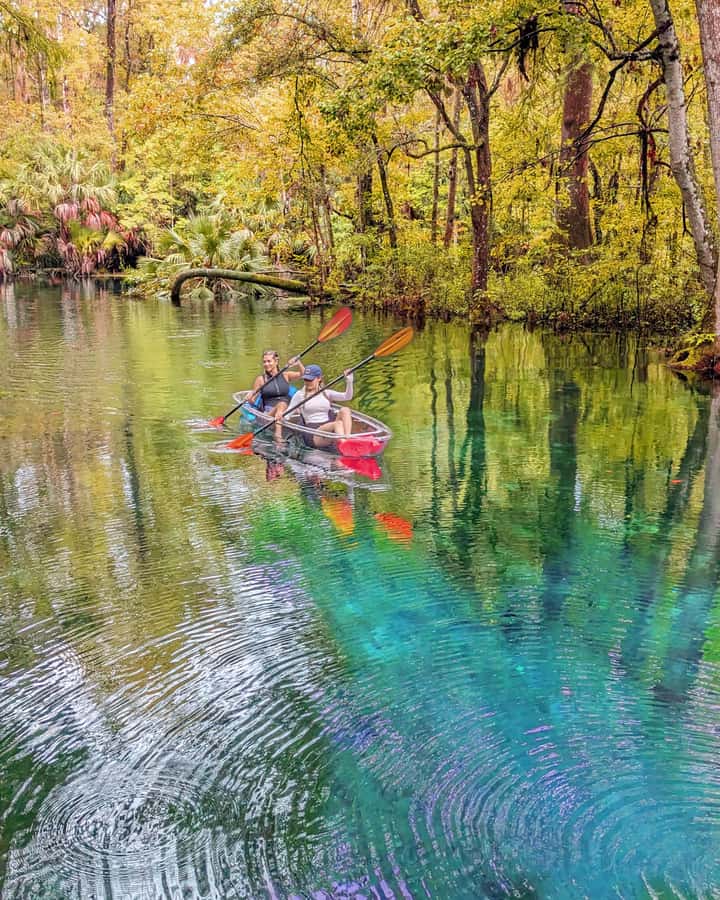 Silver Springs: Jungle Kayaking & Paddleboarding Adventure - Silver Springs on a Kayak or Paddleboard: What This 3-Hour Adventure Feels Like
