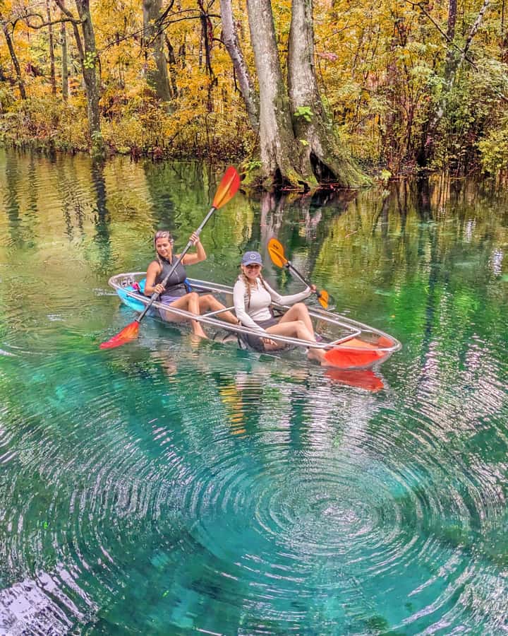 Silver Springs: Jungle Kayaking & Paddleboarding Adventure - What You Paddle Past: Cypress Roots and Submerged Movie-Making Ruins