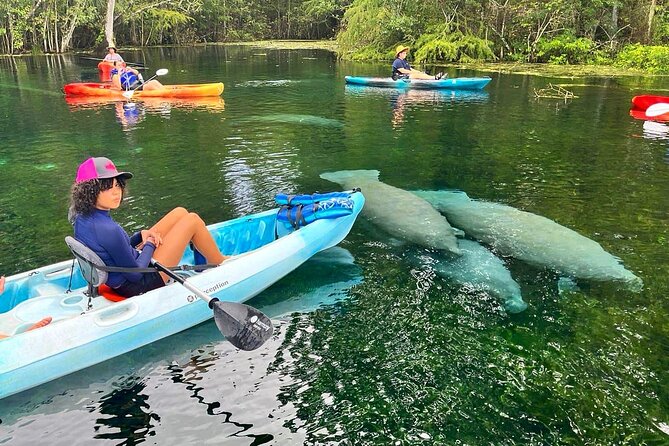 Silver Springs Kayak Rental - The Best Florida Adventure - Key Points Worth Knowing Before You Paddle
