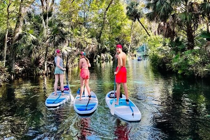 Silver Springs Kayak Rental - The Best Florida Adventure - Manatees and Monkeys: What the Trip Is Really About