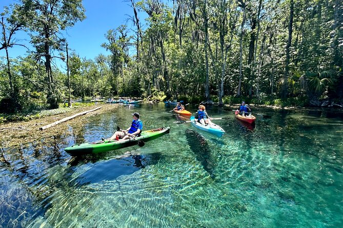 Silver Springs Kayak Rental - The Best Florida Adventure - What the Experience Includes (So You Don’t Guess)