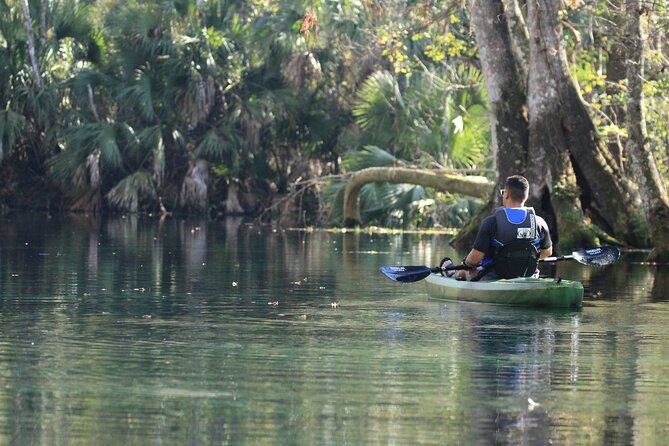 Silver Springs Manatee Kayak Tour - Is This Small-Group Tour Worth It for Families and Beginners?