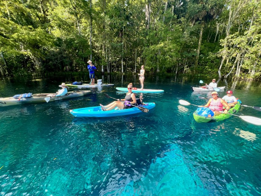 Silver Springs: Manatees and Monkeys Clear Kayak Guided Tour - Who This Tour Suits Best (and Who Should Skip It)