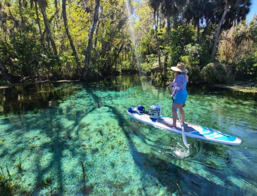 Silver Springs: Manatees and Monkeys Clear Kayak Guided Tour - What the 2-Hour Experience Feels Like (and Why It Works)