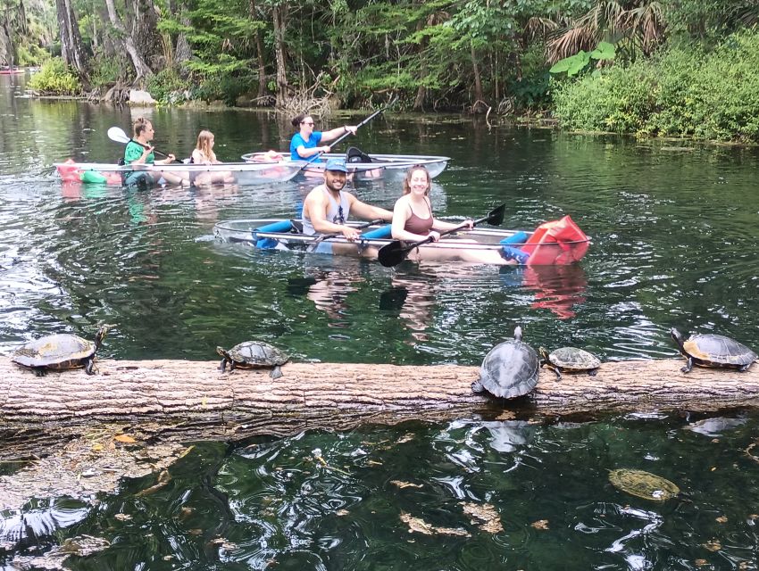 Silver Springs: Manatees and Monkeys Clear Kayak Guided Tour - What You’ll Learn From the Guides in Real Time