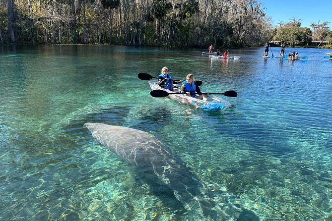 Silver Springs Self Guided Clear Kayak Rentals - Why This Clear Kayak Feels Different Than a Typical Boat Ride