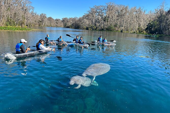 Silver Springs Self Guided Clear Kayak Rentals - Entering the Kayak Tutorial: Get Your Bearings Fast
