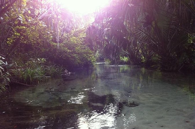 Silver Springs Self Guided Clear Kayak Rentals - Treasure Hunt Maps and the Sunken Ship Finds