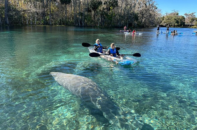 Silver Springs Self Guided Clear Kayak Rentals - Where the Trip Ends: Main Spring and the 550 Gallons Detail