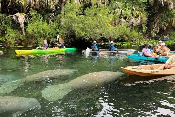 Silver Springs Self Guided Clear Kayak Rentals - What to Bring So You’re Comfortable for a 2-Hour Work-Out