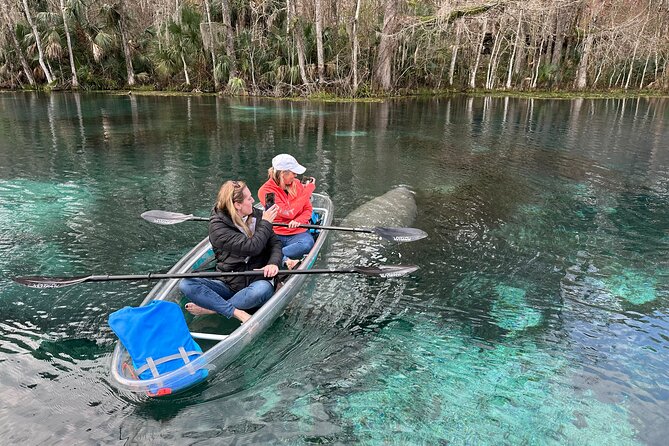 Silver Springs Self Guided Clear Kayak Rentals - Price and Value: Is $65 Worth It?