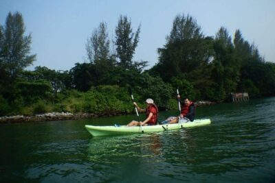 Singapore Round Ketam Kayaking Adventure in Pulau Ubin - Wildlife spotting tips that match how the trip is run
