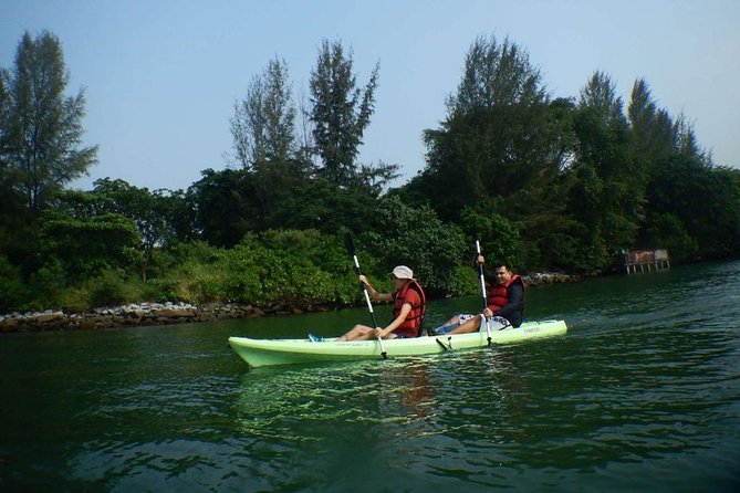 Singapore Round Ketam Kayaking Adventure in Pulau Ubin - Wildlife spotting tips that match how the trip is run
