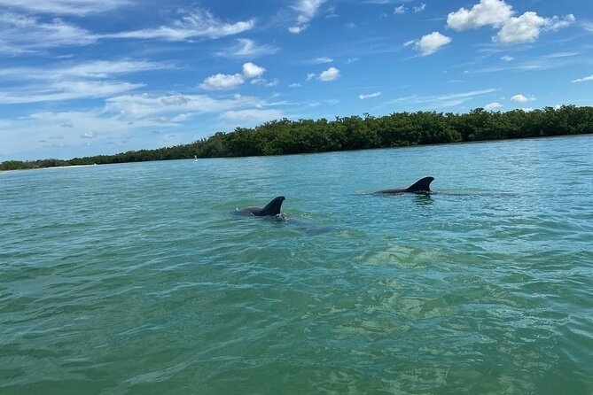 Single Kayak Rental on Big Hickory Pass - Key things I’d circle before you paddle