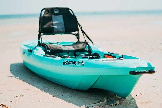 Single-Kayak Tour To Clearwater Island With Beach Setup Included! - What happens on the island: a real beach break (not just a quick stop)