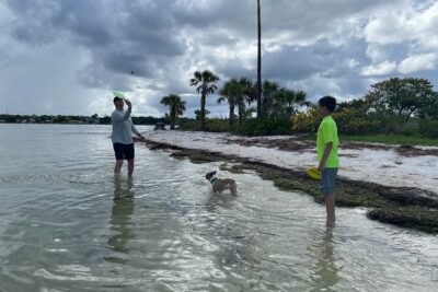 Single-Kayak Tour To Clearwater Island With Beach Setup Included! - The single kayak part: comfort, stability, and the no-drama promise