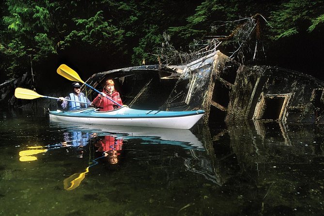 Sitka Boat and Sea Kayaking Adventure - Price and Value for a $219 Dockside Adventure