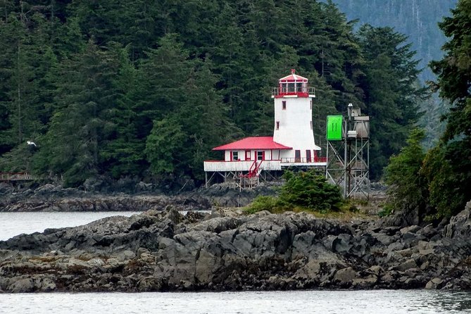 Sitka Boat and Sea Kayaking Adventure - Sitka Sound Wildlife: The Best Spots and Honest Expectations