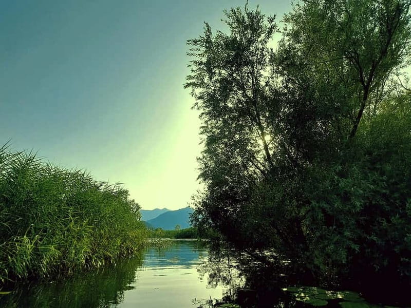 Skadar Lake National Park: Eco-friendly Kayak Adventure - Key things I’d plan around