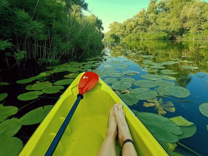 Skadar Lake National Park: Eco-friendly Kayak Adventure - Virpazar launch: where your Lake Skadar adventure actually starts